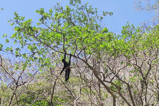 Tour image 5