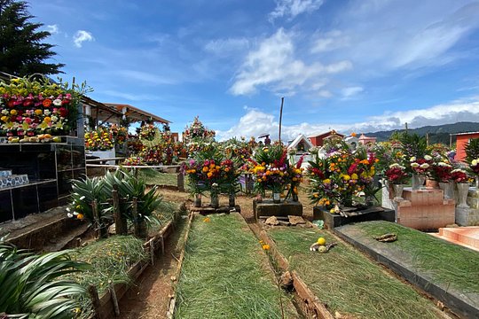 Tour image 11