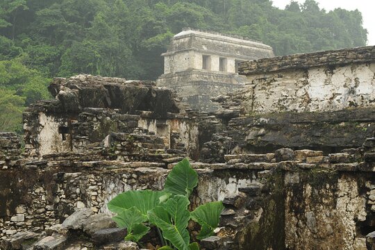 Tour image 9