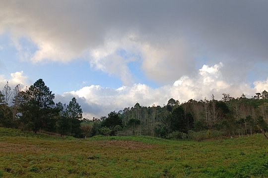 Tour image 12